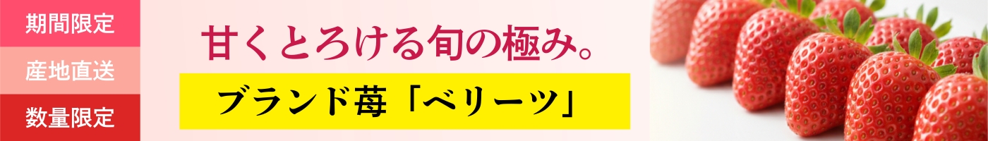 大分から産地直送するブランド苺「ベリーツ」のバナー画像です。