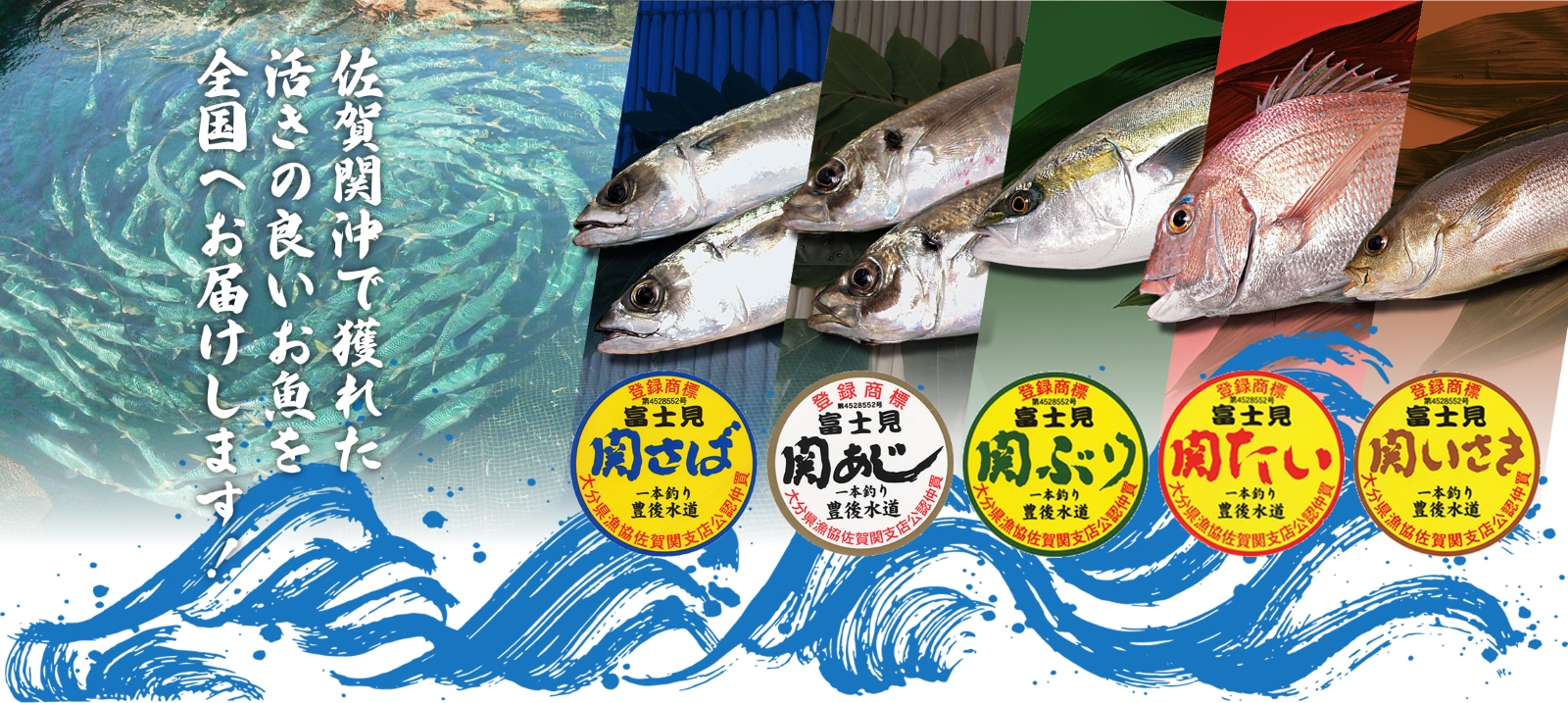 富士見水産