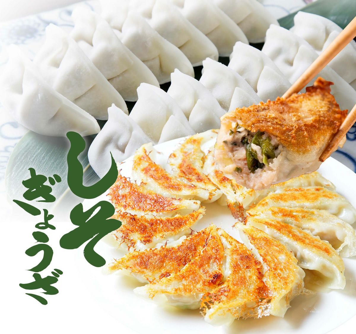 パリパリに焼きあがった「しそ餃子」を、箸で1粒持ち上げている画像。大葉のさわやかな香りと風味が際立つ、大分県産ブランド豚「米の恵み」を使用したもちもち、パリパリ食感の餃子。