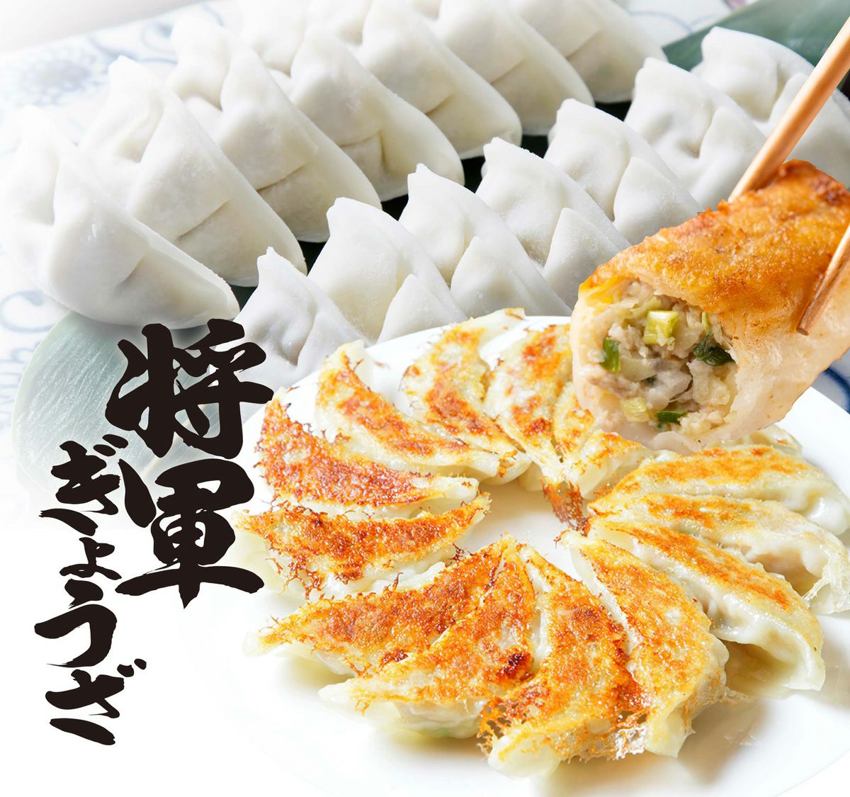ほどよい甘みで万人受けする「将軍餃子」がパリパリに焼きあがり、箸で1粒持ち上げられている画像。もちもち、パリパリの食感が魅力の定番餃子。