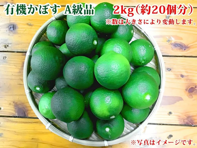 大分県産の無農薬・無添加の有機かぼすの画像。青果のかぼすを産地直送でお取り寄せ、通販で販売。