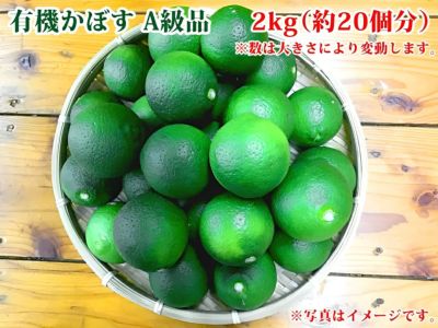 大分県産 無農薬・無添加 有機かぼす