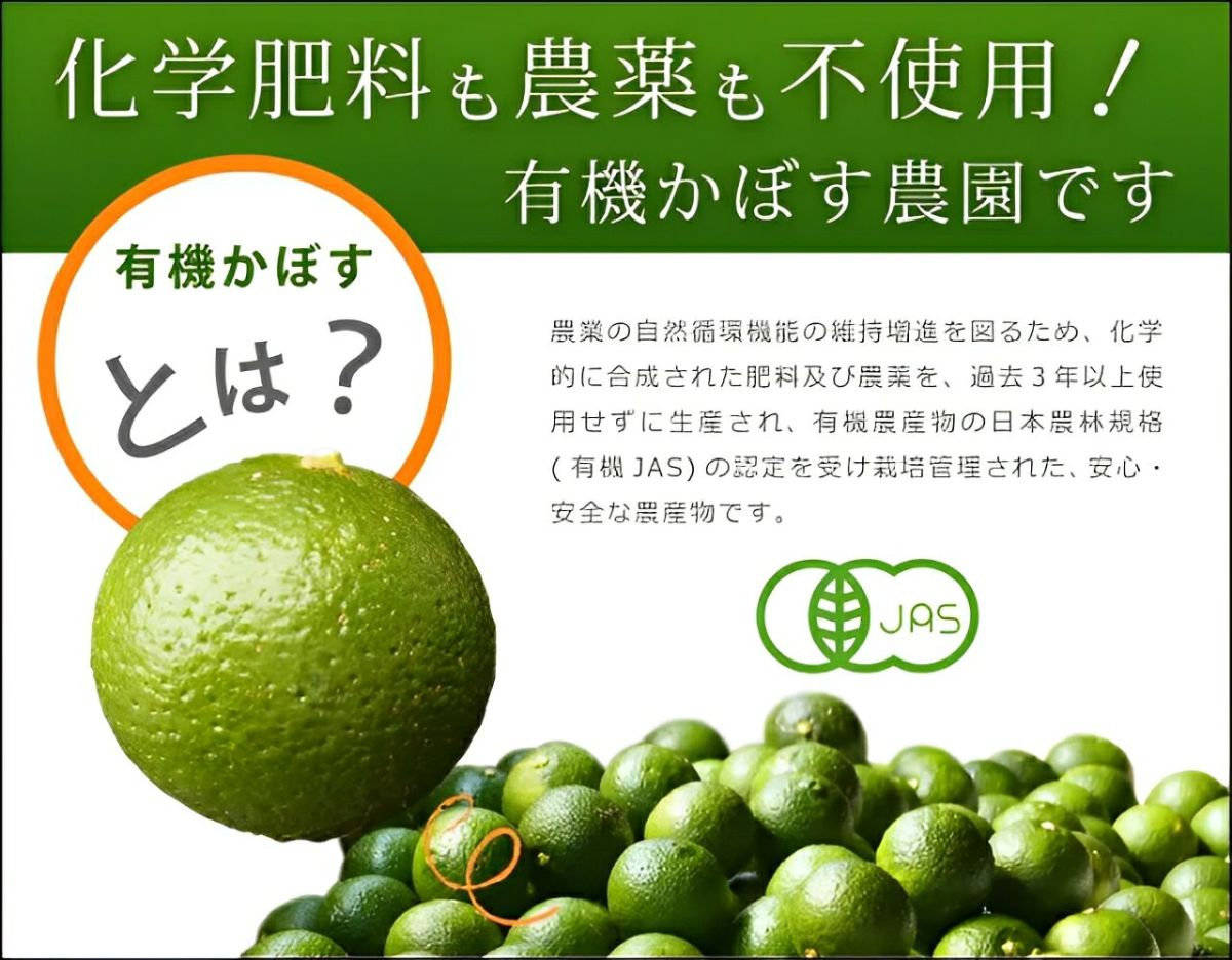 大分県産の無農薬・無添加の有機かぼすの画像。青果のかぼすを産地直送でお取り寄せ、通販で販売。