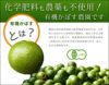 大分県産 無農薬・無添加 有機かぼす