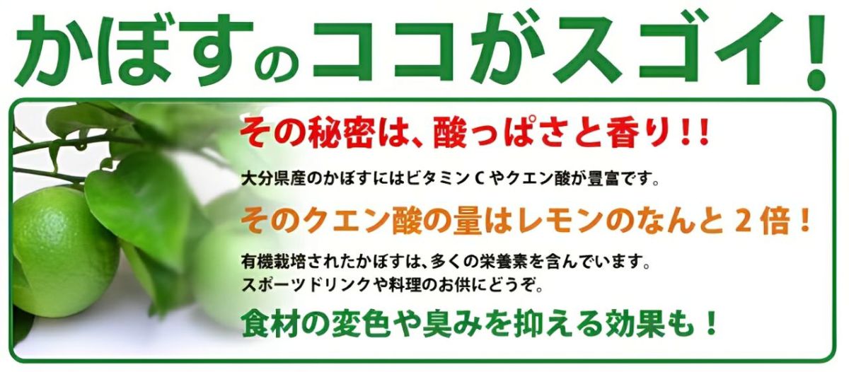 大分県産の無農薬・無添加の有機かぼすの画像。青果のかぼすを産地直送でお取り寄せ、通販で販売。