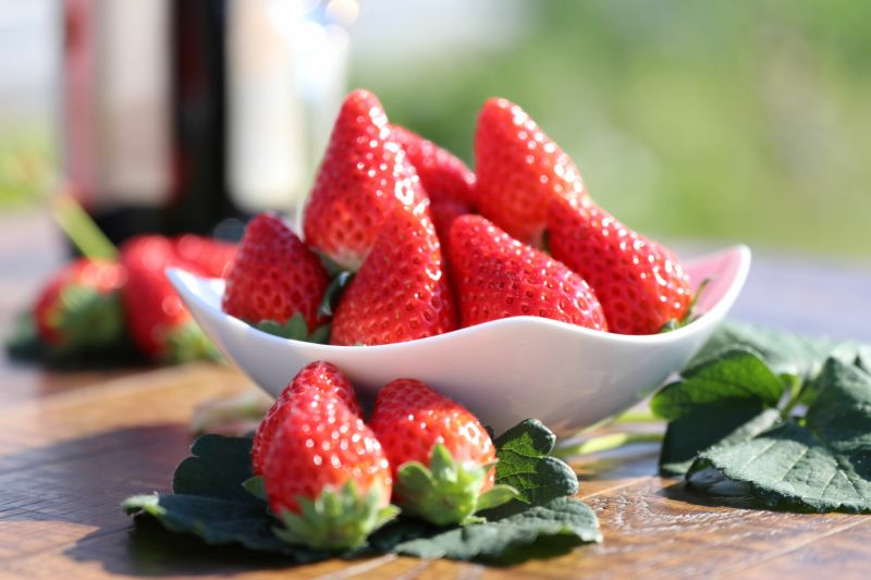 大分県産の人気いちご品種「さがほのか」のパック詰め画像。甘さと酸味のバランスがよい「さがほのか」を産地直送でお取り寄せ、通販でギフト購入。