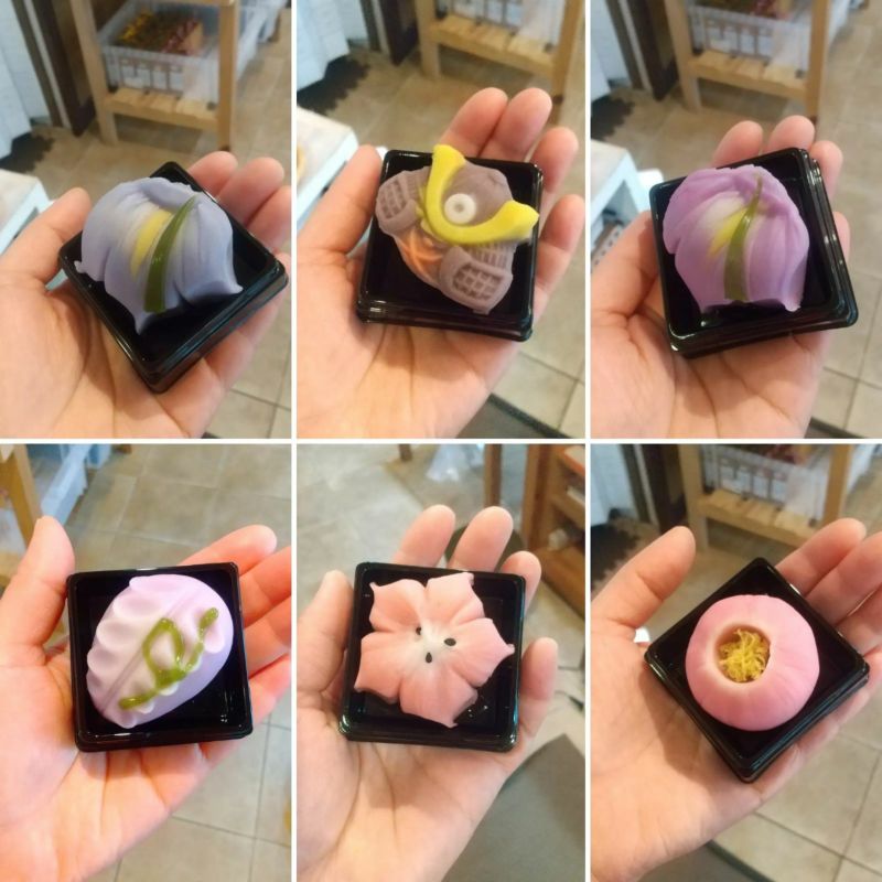 和菓子職人の熟練の技術が光る「季節の上生菓子」6種類を、一つずつ手に乗せて写した画像。季節の趣を取り入れた、練り切り、外郎、上用饅頭などの上等な芸術作品。