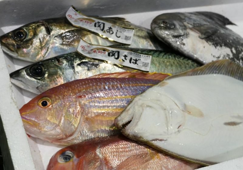 大分・豊後水道で水揚げされた旬の鮮魚を厳選した「プロおまかせ旬魚セット【竹】」の箱詰め画像。産地直送でお届けする、刺身や煮付けに使える大分県産の新鮮な魚セットを通販でお取り寄せ。