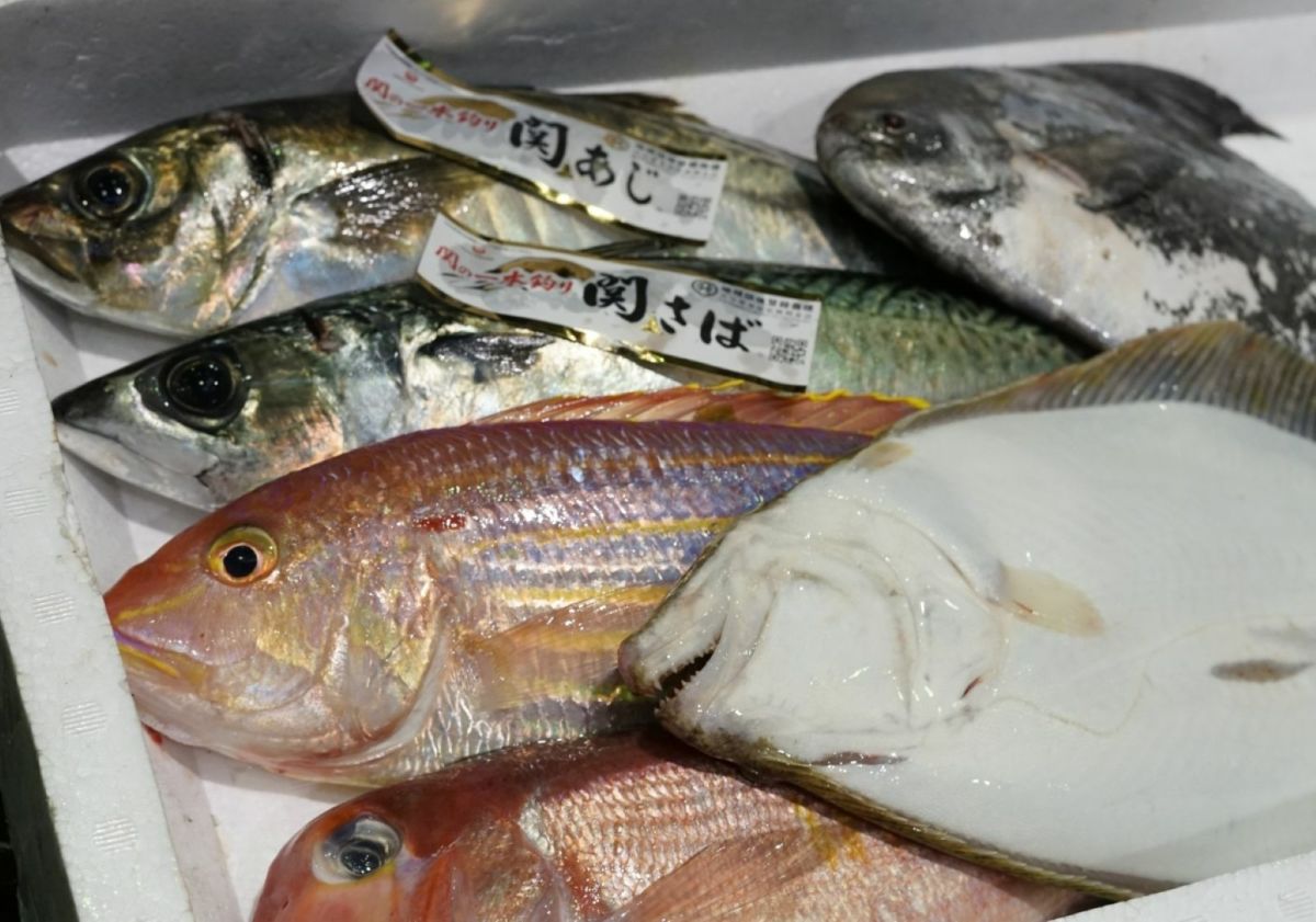 大分・豊後水道で水揚げされた旬の鮮魚を厳選した「プロおまかせ旬魚セット【竹】」の箱詰め画像。産地直送でお届けする、刺身や煮付けに使える大分県産の新鮮な魚セットを通販でお取り寄せ。