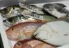 大分丸豊の鮮魚BOX【竹】