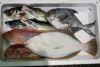 大分丸豊の鮮魚BOX【竹】