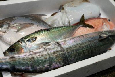 大分丸豊の鮮魚BOX【松】
