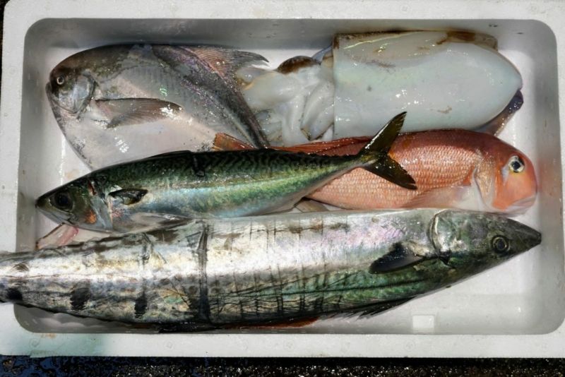 丸豊水産
