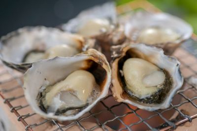 大分県佐伯市鶴見産の「シングルシード」真牡蠣を焼いた調理イメージ画像。加熱しても身が縮みにくい、濃厚な風味の牡蠣をお取り寄せ。