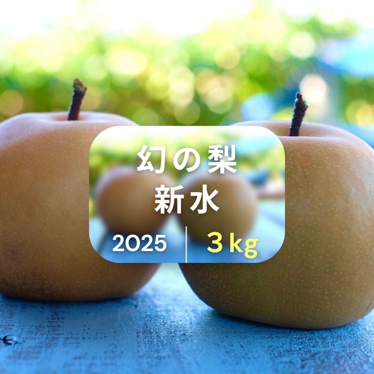 大分県産の幻の梨『新水』の画像。3日間限定出荷の希少な「新水」を産地直送でお取り寄せ、通販で販売。