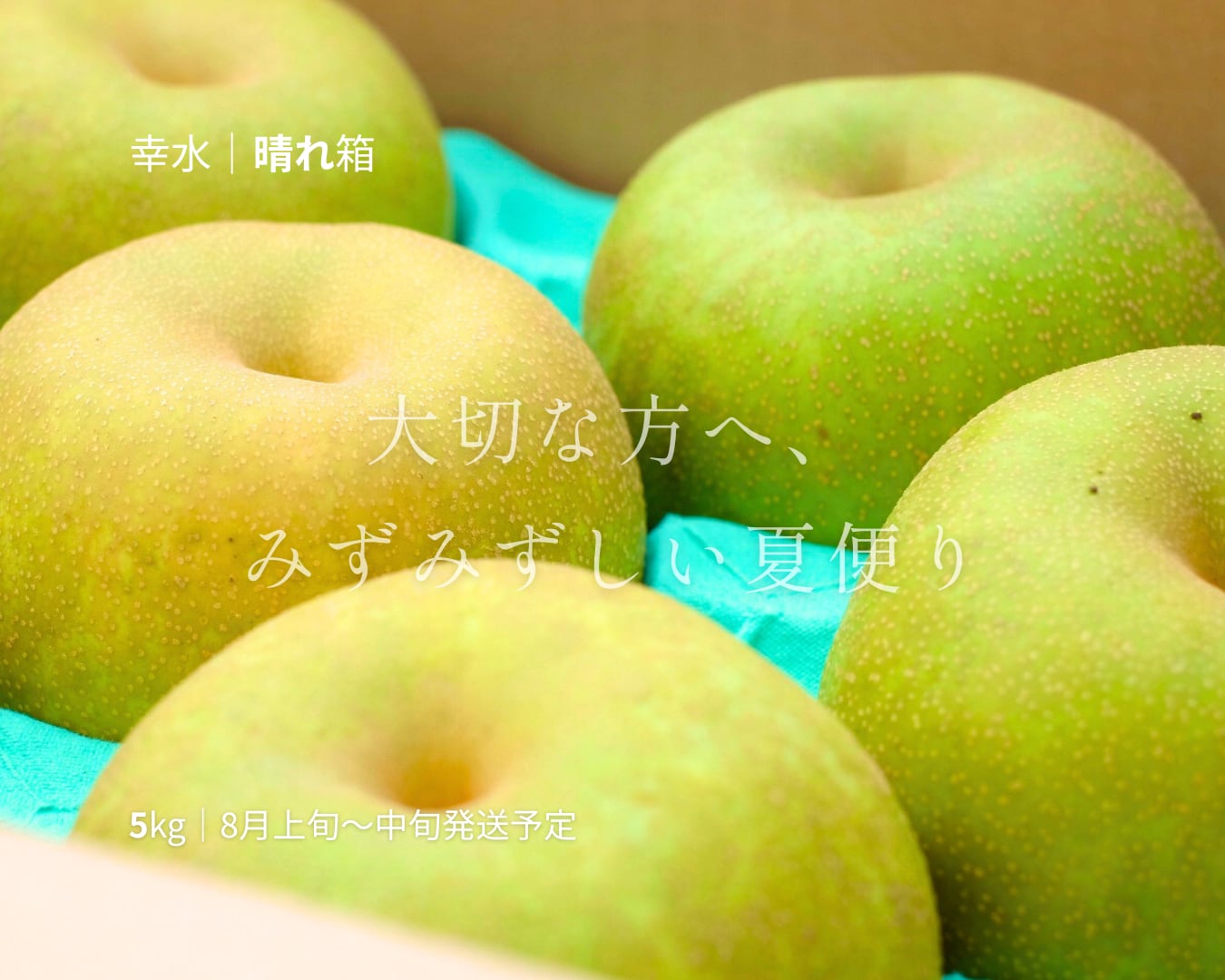 大分県産の庄内甘熟梨『幸水』の画像。シャリシャリとした食感と高い糖度の「幸水」を産地直送でお取り寄せ。