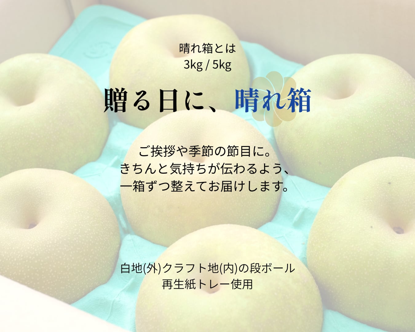 大分県産の庄内甘熟梨『豊水』の画像。濃厚な甘さと豊かな果汁の「豊水」を産地直送でお取り寄せ、通販で販売中。