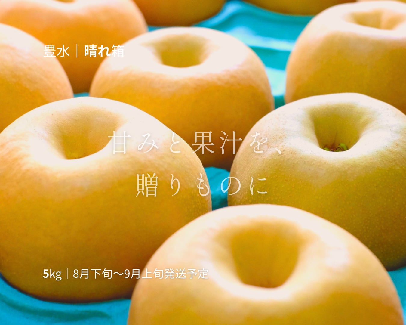 大分県産の庄内甘熟梨『豊水』の画像。濃厚な甘さと豊かな果汁の「豊水」を産地直送でお取り寄せ、通販で販売中。