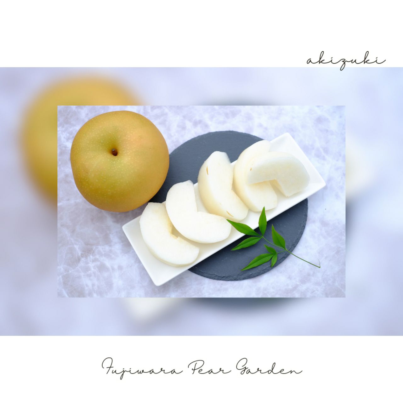 大分県産の庄内甘熟梨『あきづき』の画像。大玉で糖度が高い「あきづき」を産地直送でお取り寄せ、通販で販売。