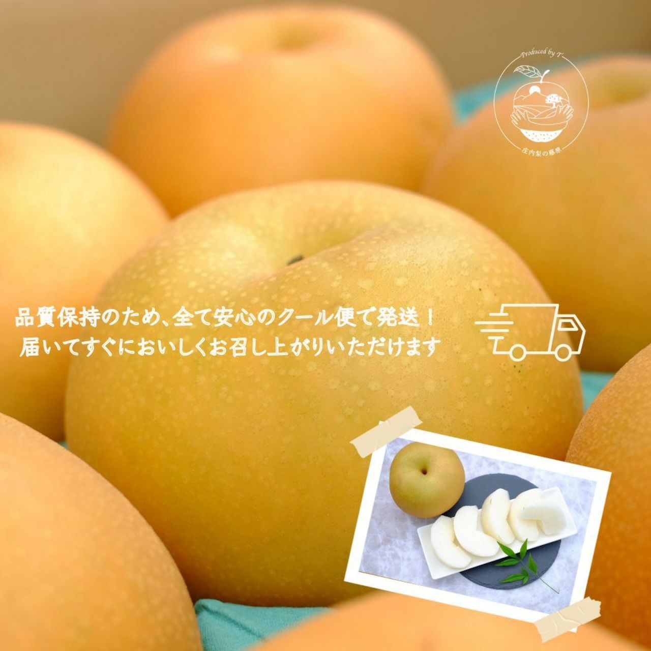 大分県産の庄内甘熟梨『豊里』の画像。おおいたの希少品種「豊里」を産地直送でお取り寄せ、通販で購入。